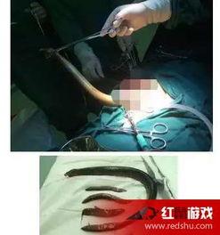 鳝鱼女主播视频链接,网络直播界的性感魅力与人气飙升