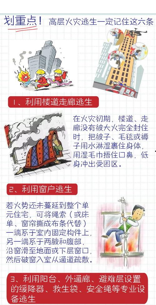 生命无价资料,珍视生命，守护健康